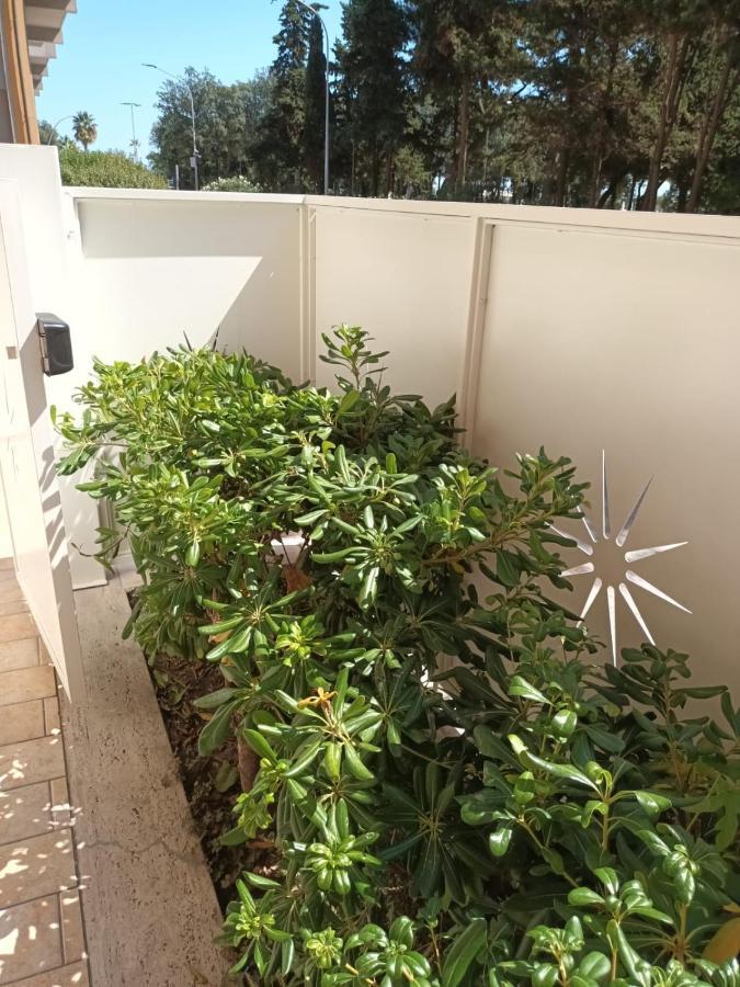 B&B Lido Apartament 10A Civitanova Marche Dış mekan fotoğraf