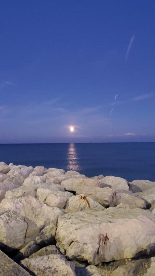 B&B Lido Apartament 10A Civitanova Marche Dış mekan fotoğraf